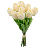 Tulip Bunch x 9 Cream image 1