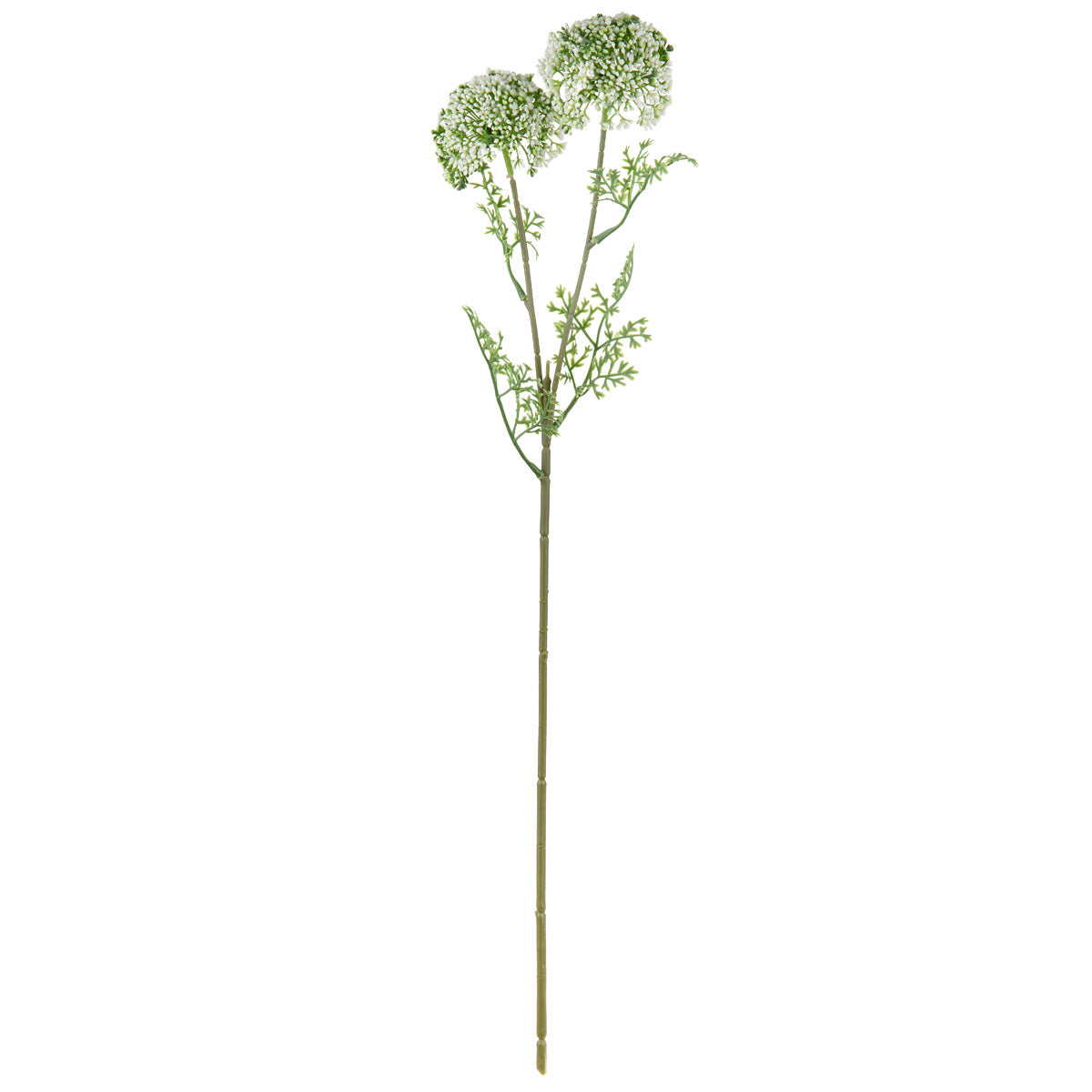Wild Meadow Spray x 2 White image 0