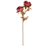 Dry Image Peony Vintage Wine image 0