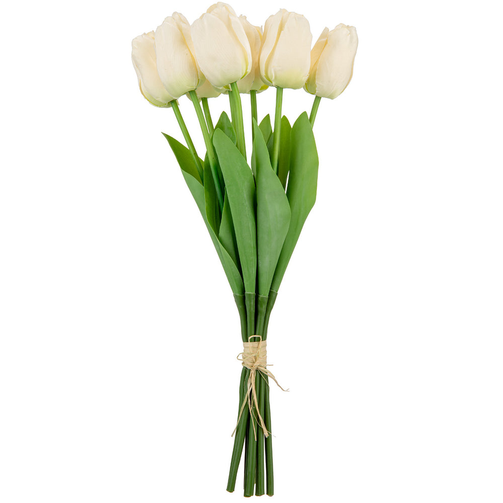 Tulip Bunch x 9 Cream image 0
