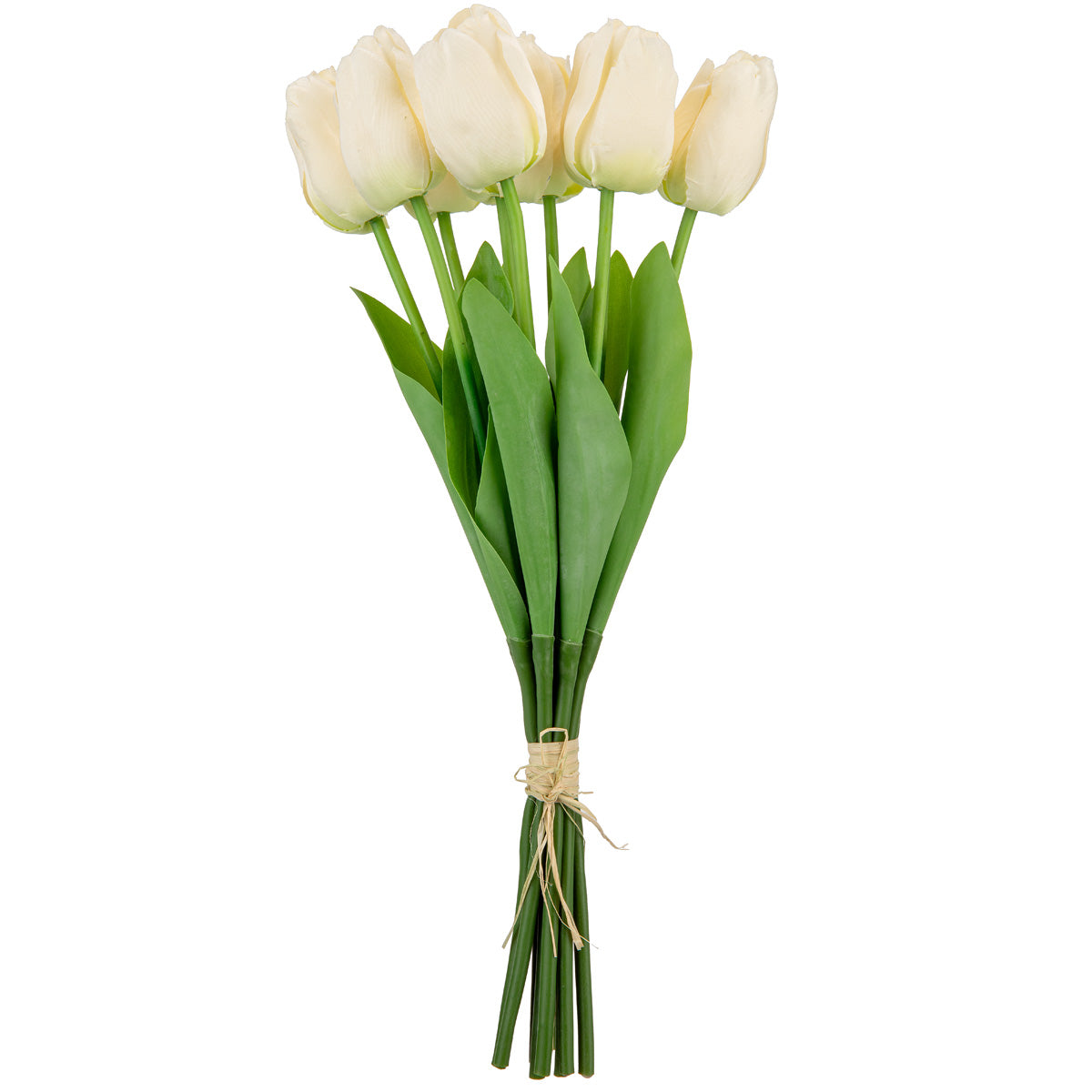 Tulip Bunch x 9 Cream image 0