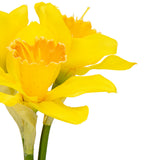 16" Daffodil Bouquet x 3 Heads Yellow image 1