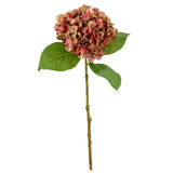 Small Head Hydrangea Two Tone Green/Pink image 2