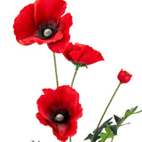 Poppy Spray Red x 3 Heads 1 Bud image 2