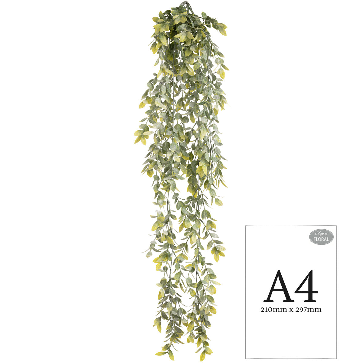 Hanging Plastic Wild Tea Bush image 3