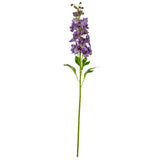 Delphinium Stem Violet image 0