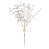 Eucalyptus Bush x 16 White image 0