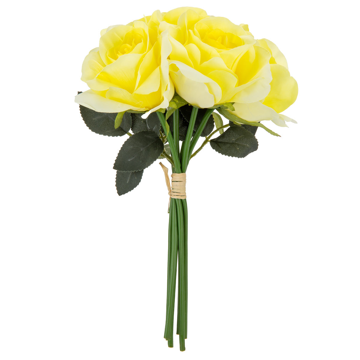 Eugenie Rose Bunch x 6 Pale Yellow image 3