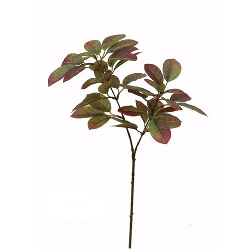 28" Buddha's Hand Spray x 50 Leaves Red image 0