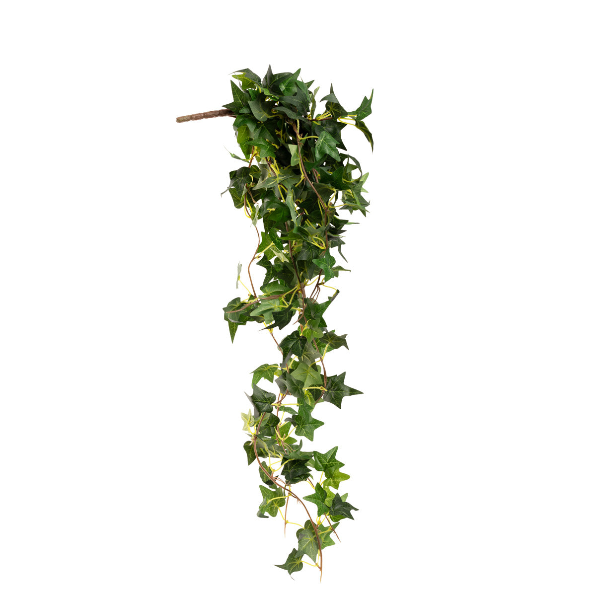 Hanging Ivy Bush Green image 1