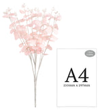 Eucalyptus Bush x 16 Pink image 2