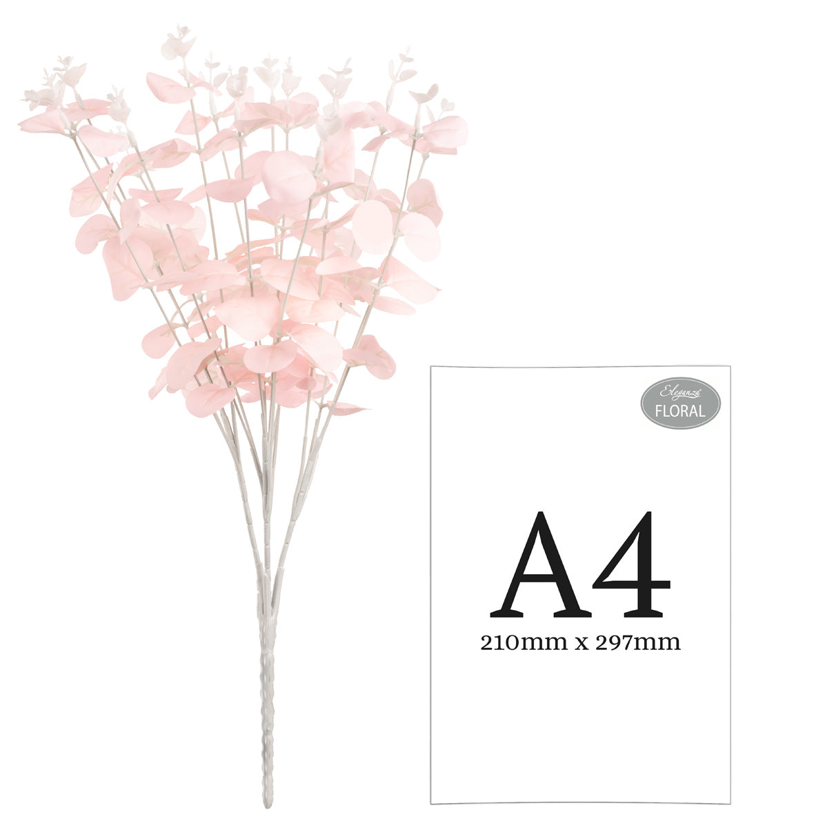 Eucalyptus Bush x 16 Pink image 2