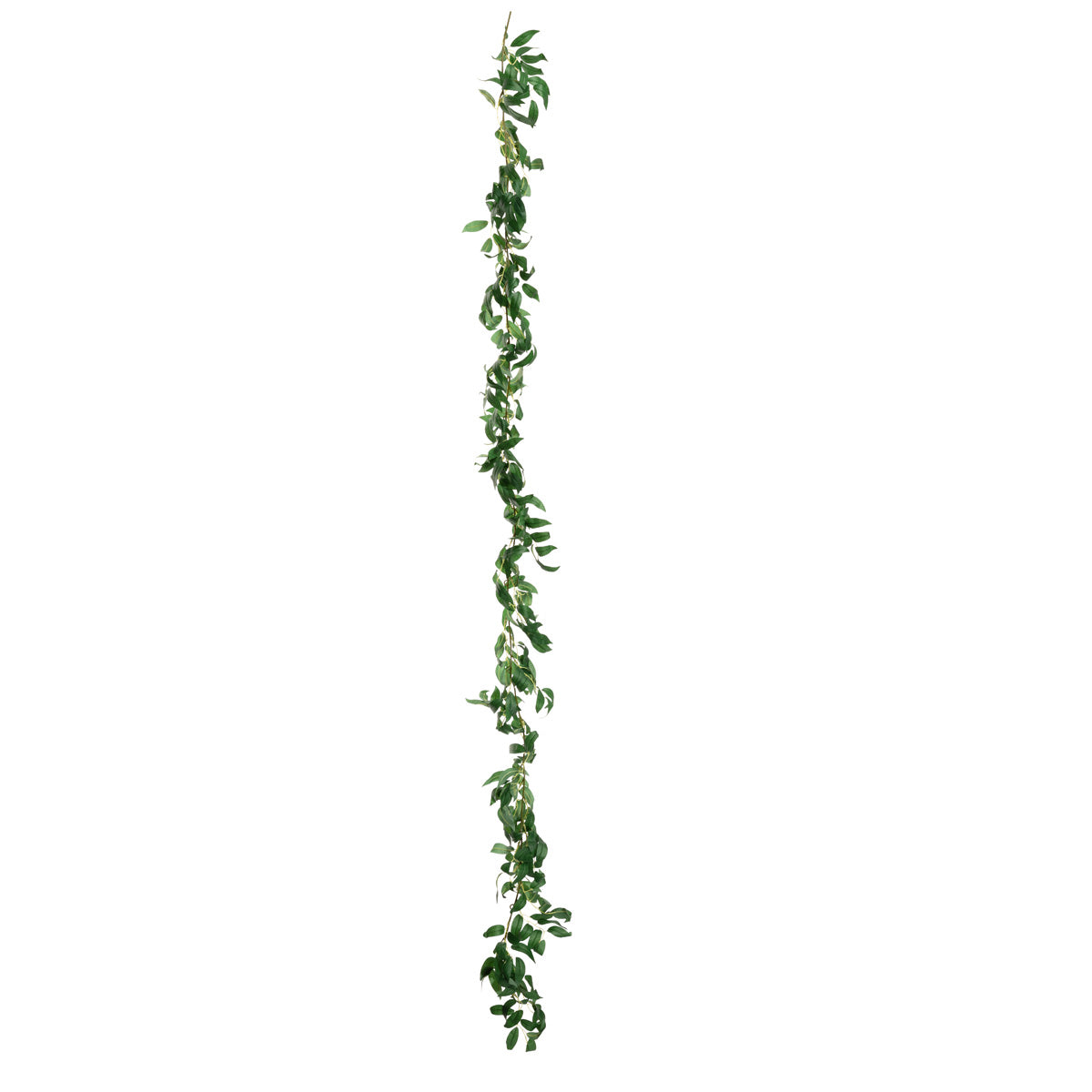 Ruscus Garland Green 1.8m image 0