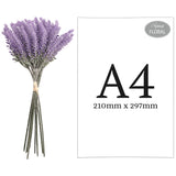 Lavender Bunch x 10 image 1