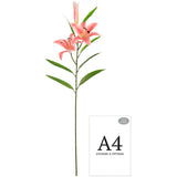 Lily Stem x 2, 1 Bud & 7 Leaves Light Pink image 2