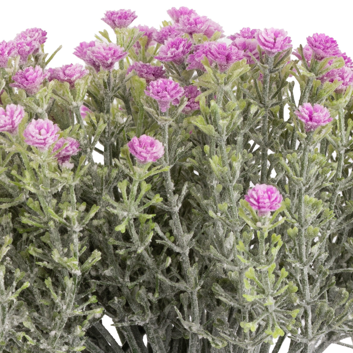 Mini Open Gypsophilia Bunch x 6 Lilac 33cm image 1