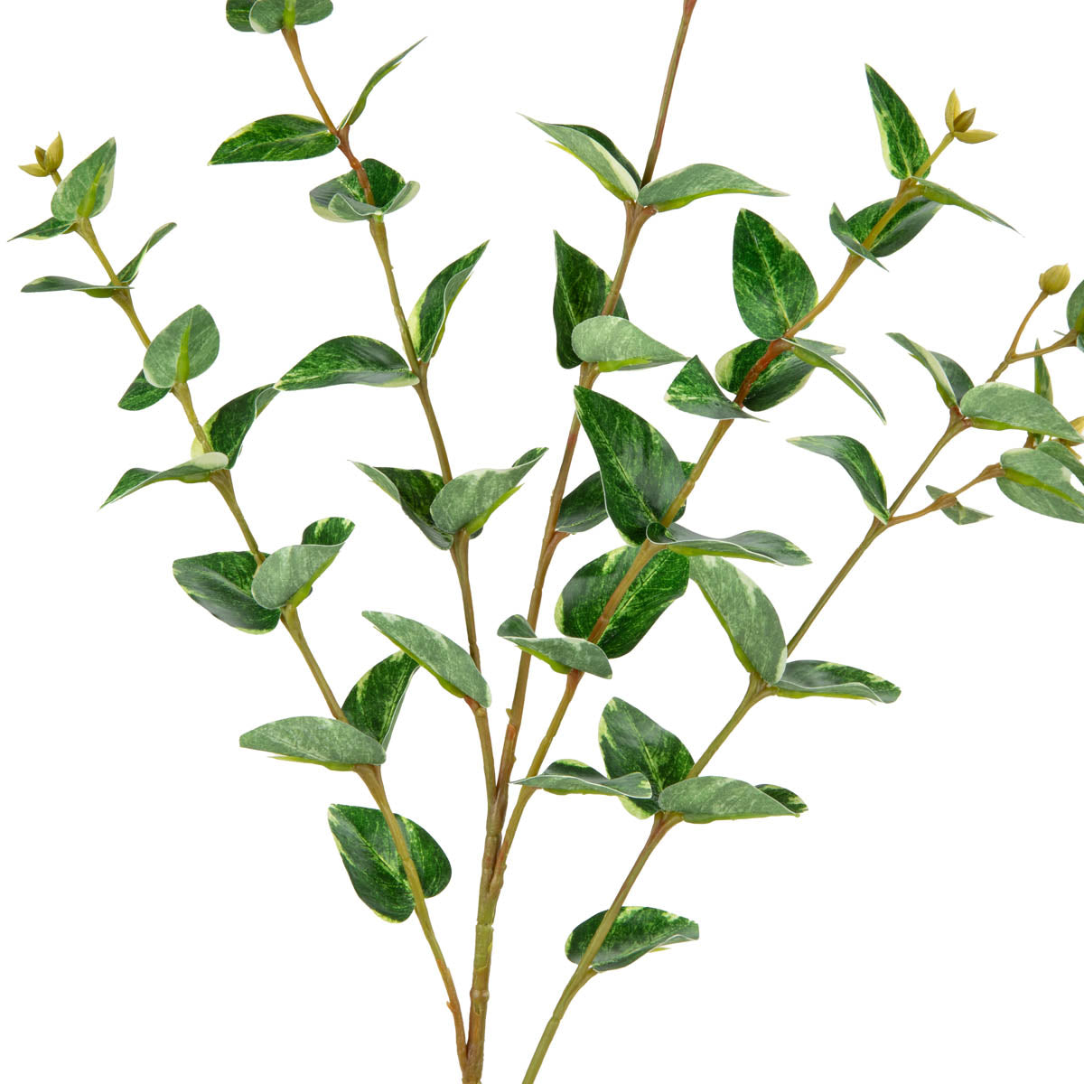 Emerald Palm Leaf Stem Green/White image 1
