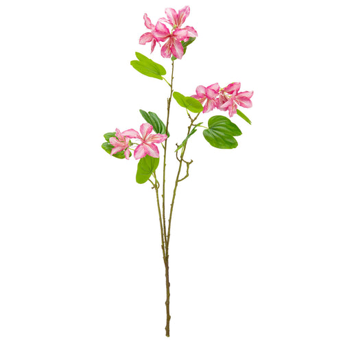 Bauhinia Spray Pink image 0