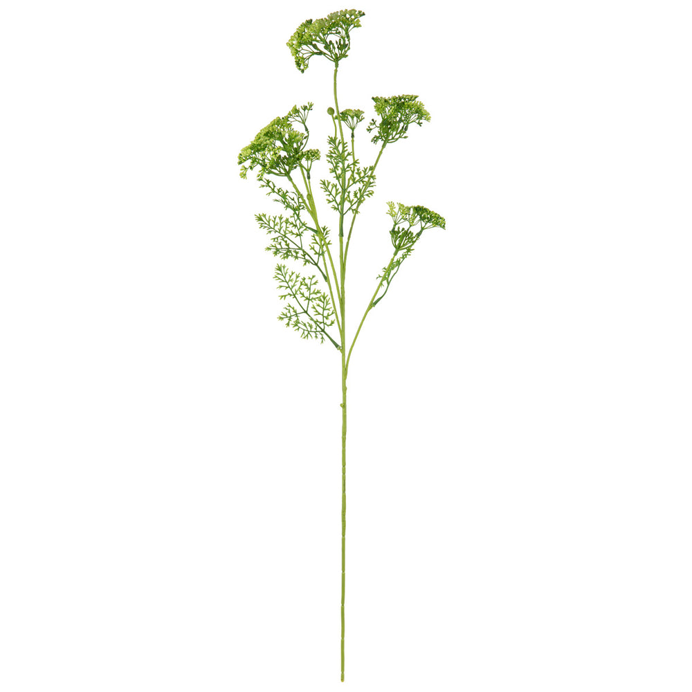 Lady Lace Spray Green image 0