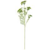 Lady Lace Spray Green image 0