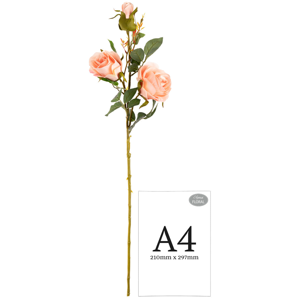 Large Charlotte Rose Spray x 3 Champagne image 1