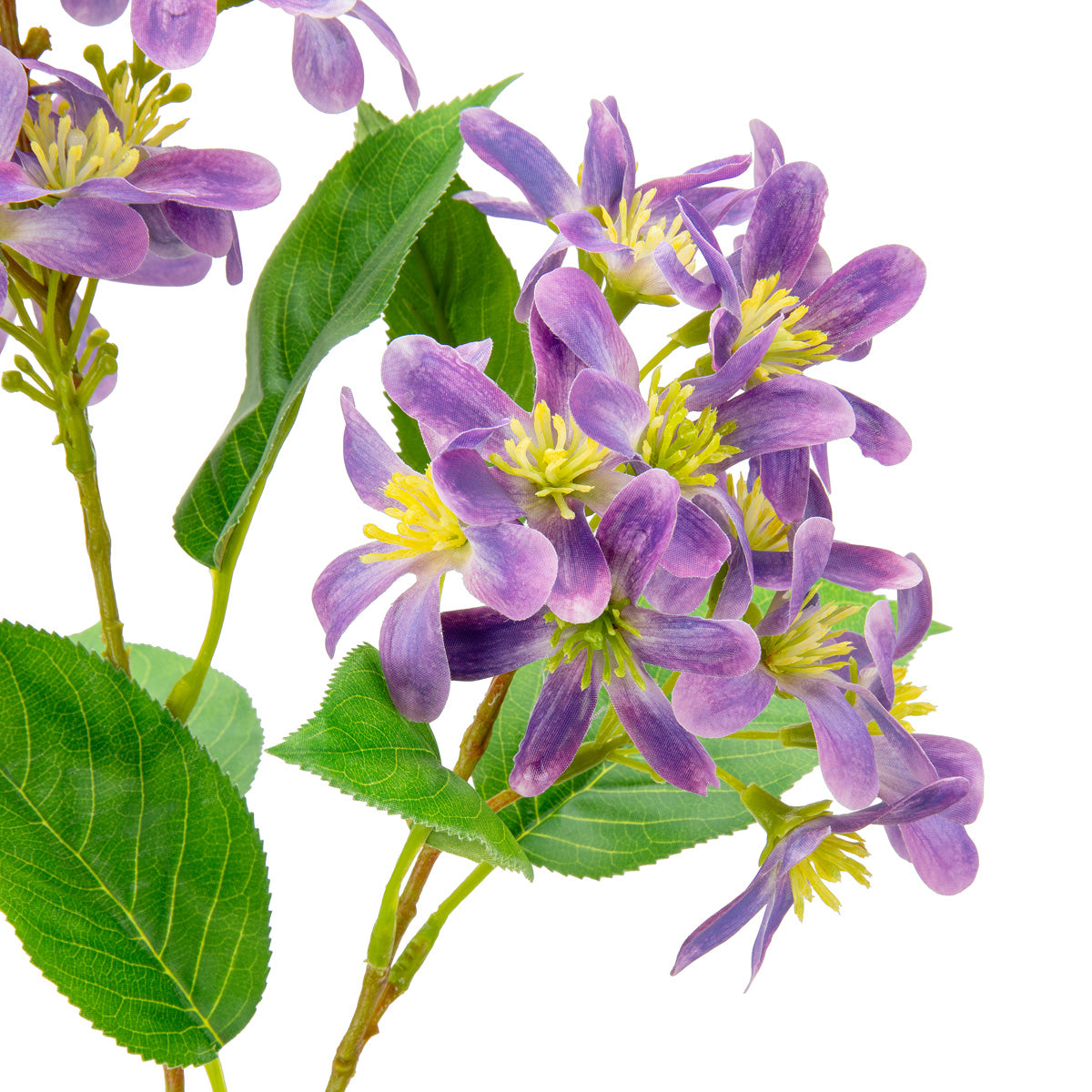 Vernicia Flower Spray x 2 Violet image 1