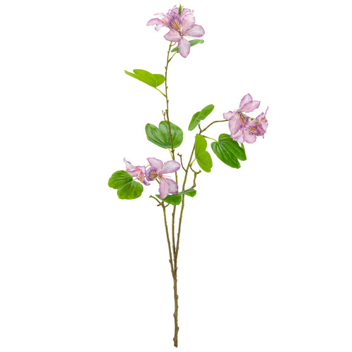 Bauhinia Spray Lavender image 0