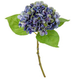 Small Head Hydrangea Purple Green image 2