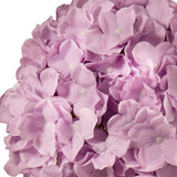 Large Head Hydrangea Pastel Lilac image 2