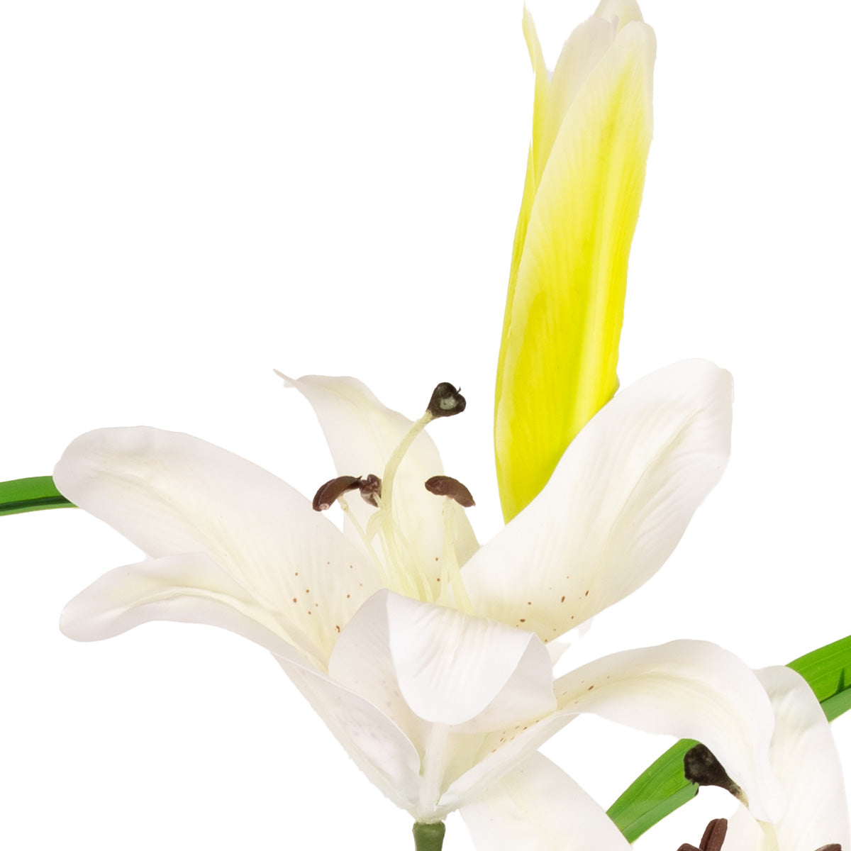 Lily Stem x 2, 1 Bud & 7 Leaves White image 1