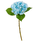 Small Head Hydrangea Light Blue image 2