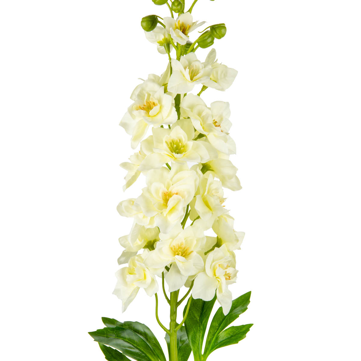 Delphinium Stem Ivory image 1