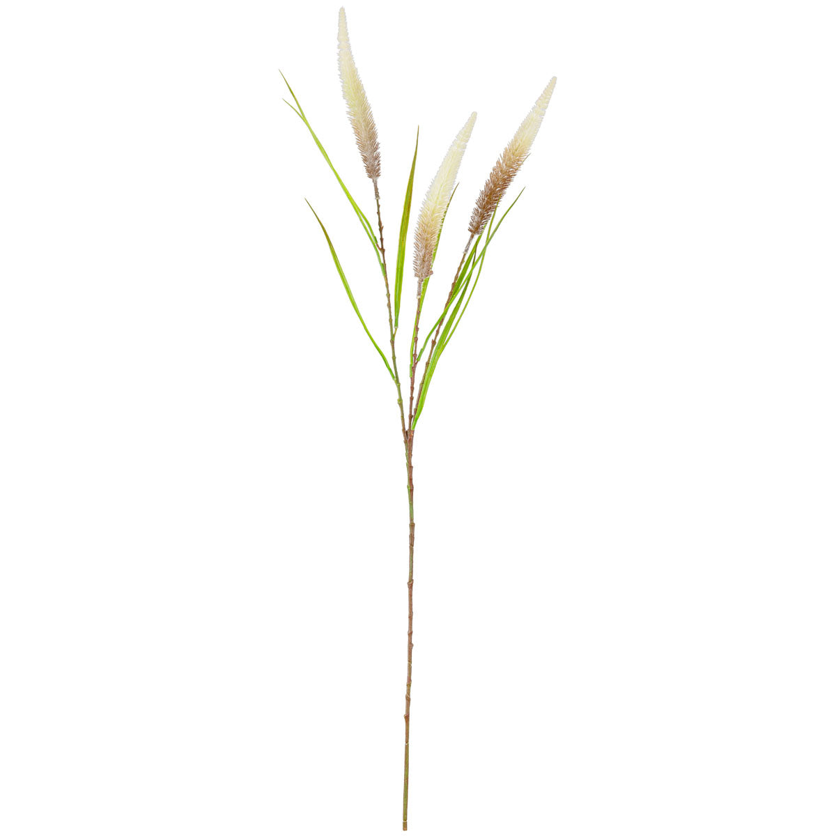 100cm Reed Spray Brown Green image 0