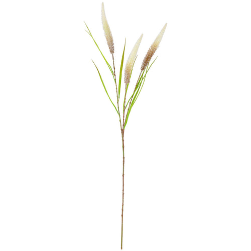 100cm Reed Spray Brown Green image 0