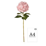 Large Head Hydrangea Light Pink 92cm image 1