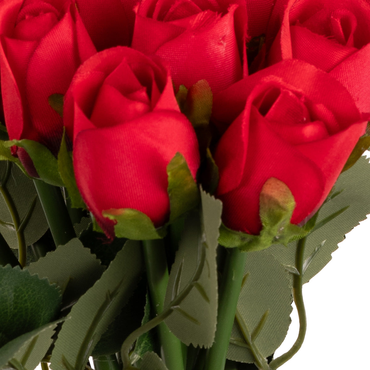 Beatrice Rose Bud Bunch x 15 Red image 2