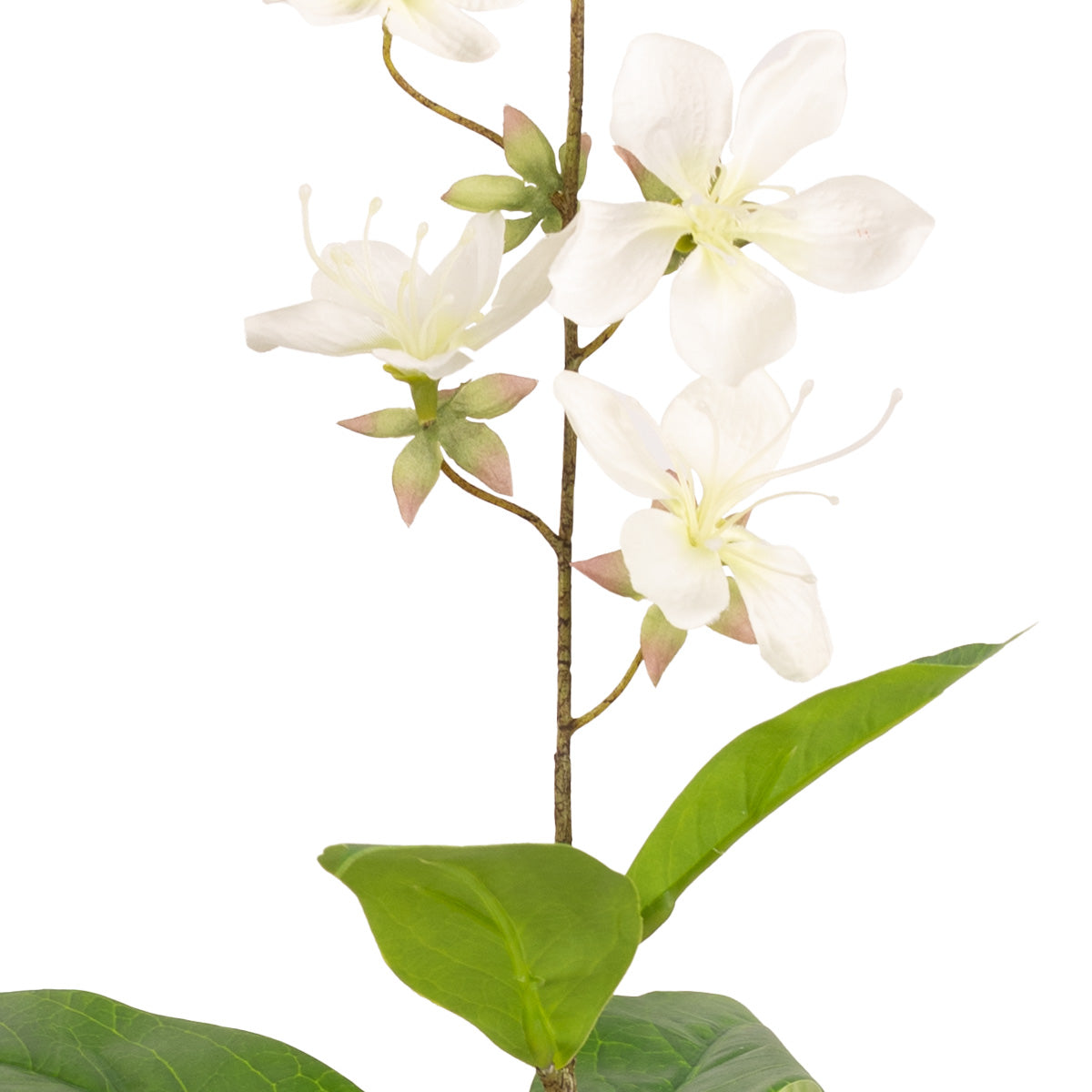 Clematis Spray (78cm) White image 2