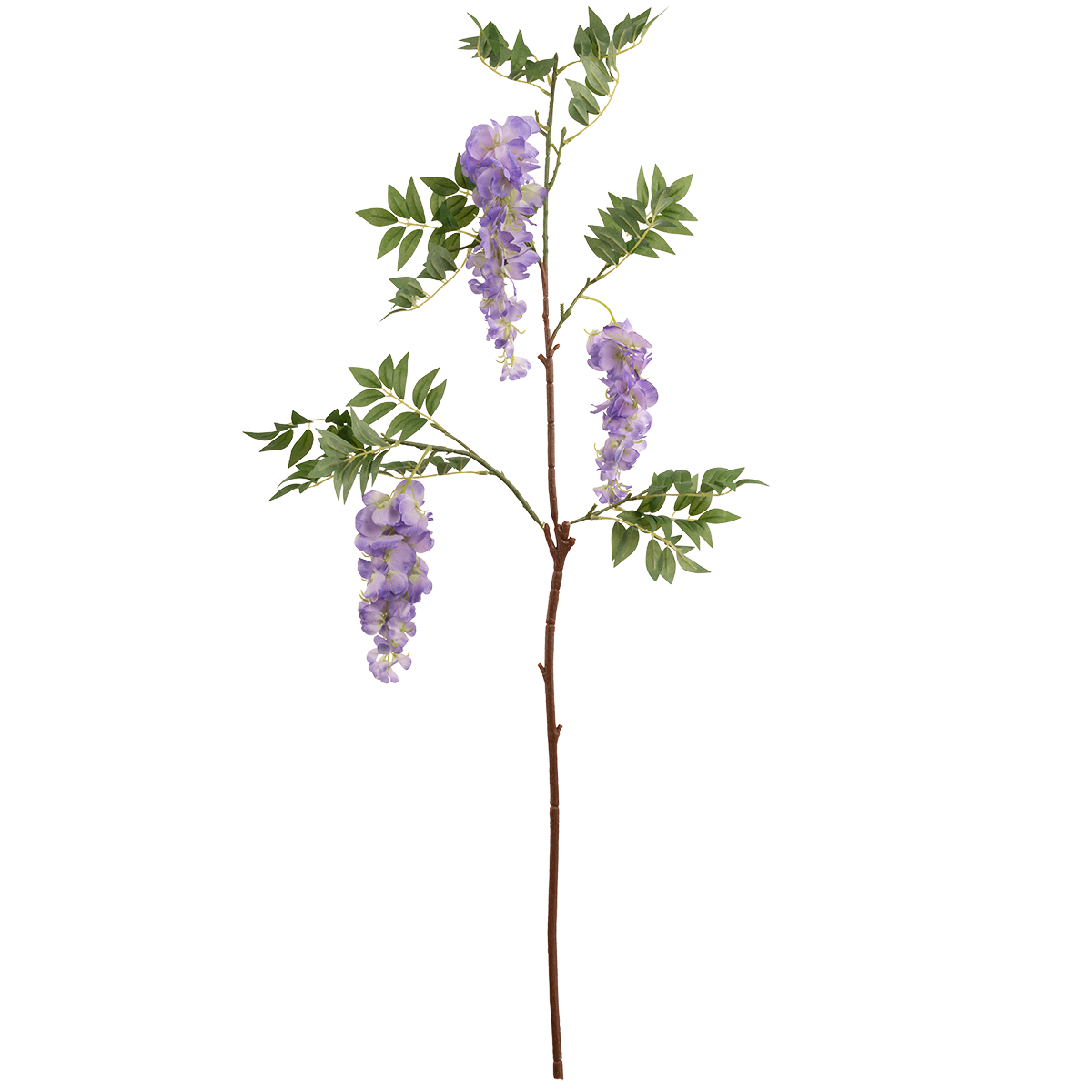Wisteria Spray x 3 Heads Violet image 0