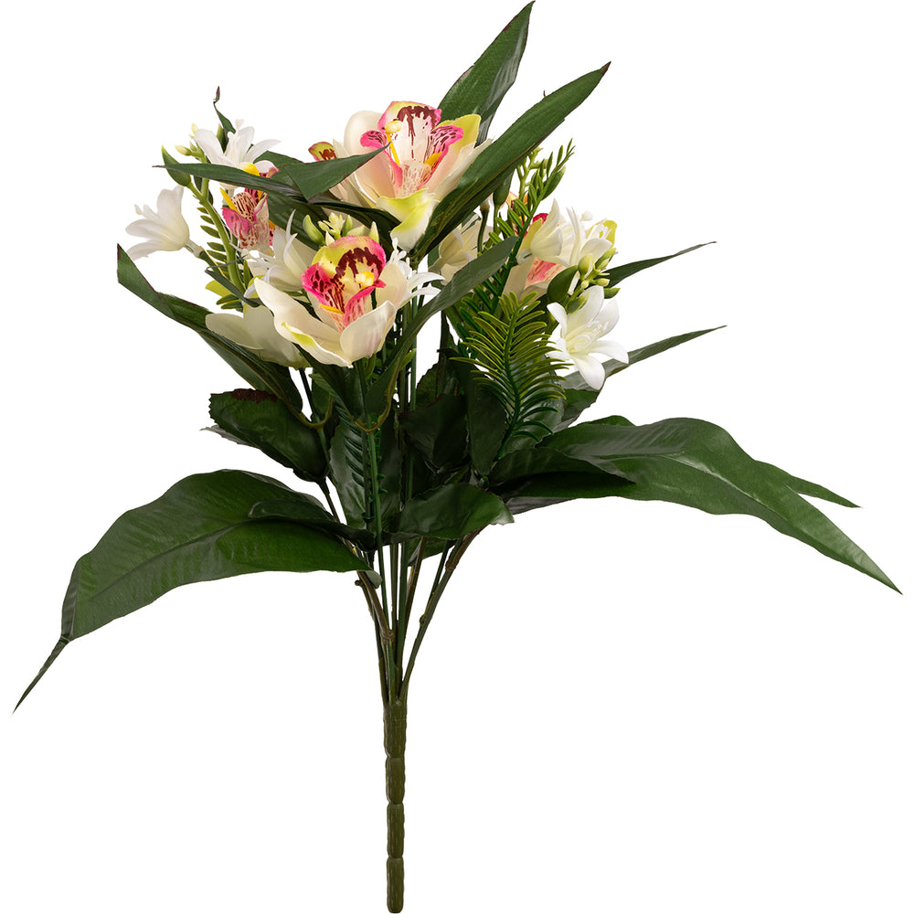 Orchid Bush 37cm White/Pink image 0