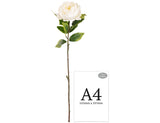 Aurora Peony x 1 White image 1