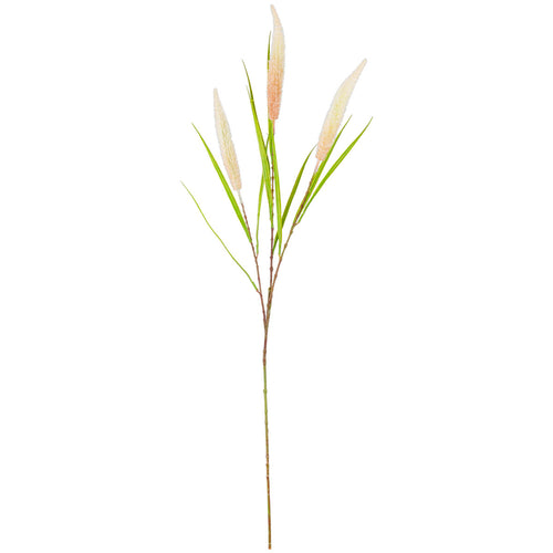 100cm Reed Spray Orange image 0