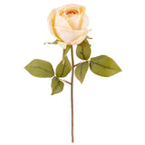 Dry Image Rose Almond Cream image 1