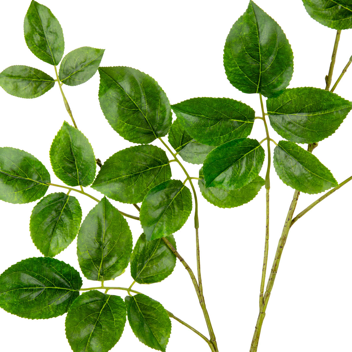 Rose Leaf Spray Green image 2