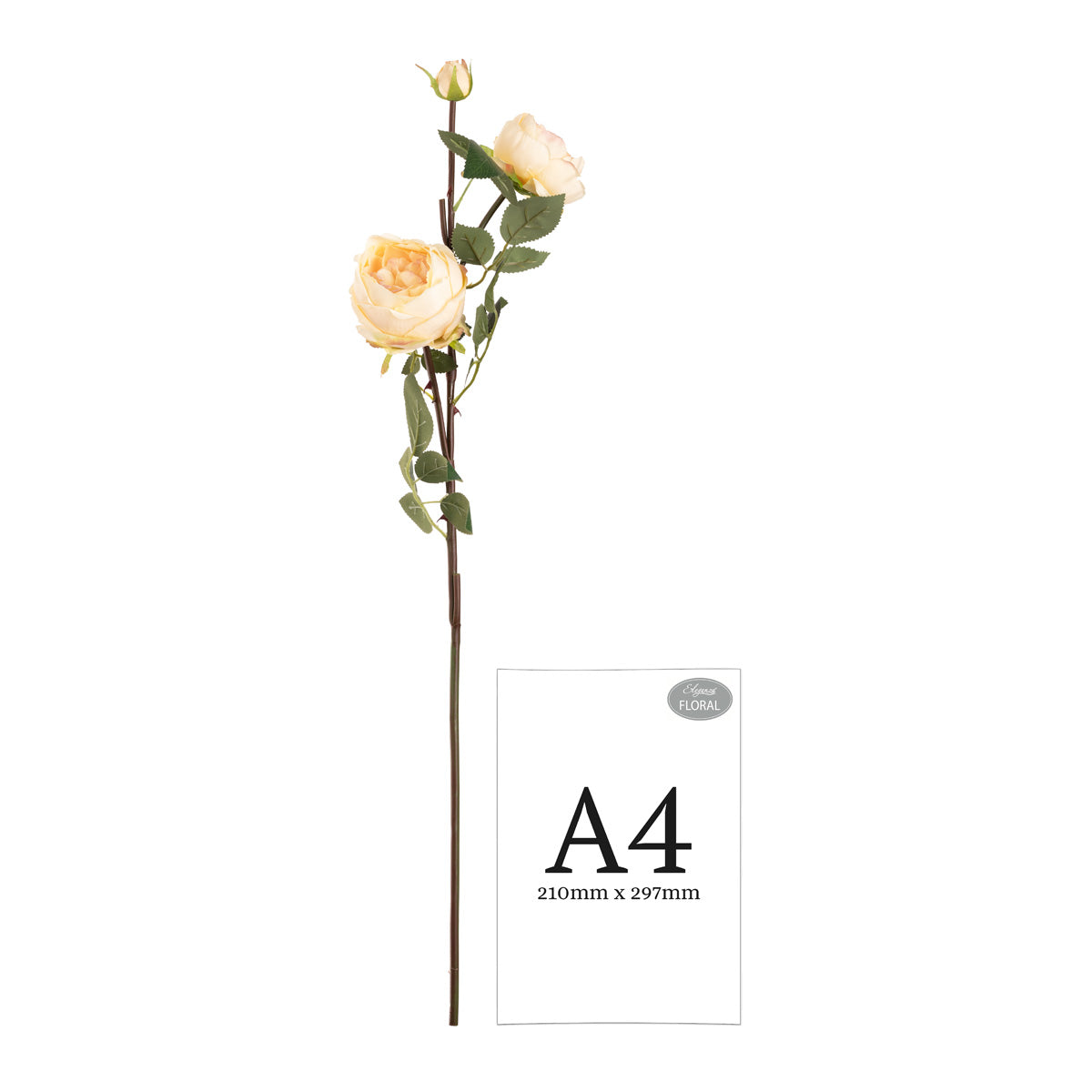 Elizabeth Garden Rose Spray x 3 Champagne image 1