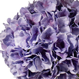 Large Head Hydrangea Lavender image 2