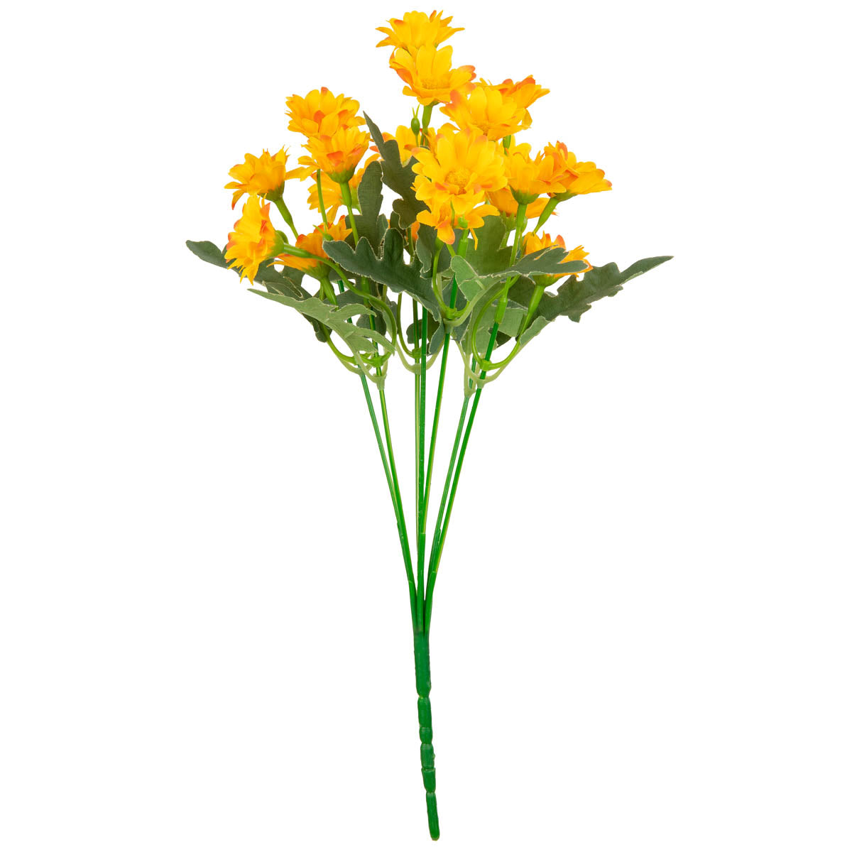 Daisy Bush Orange image 2