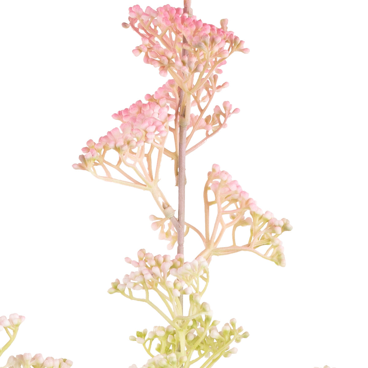 Mini Gyp Stem Light Pink image 2