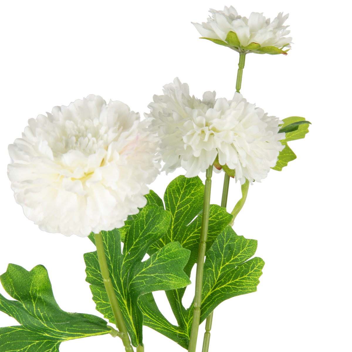 Oriental Aster Spray x 3 White image 1