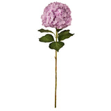 Large Head Hydrangea Pastel Lilac image 0