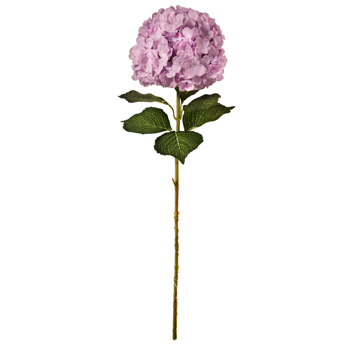 Large Head Hydrangea Pastel Lilac image 0